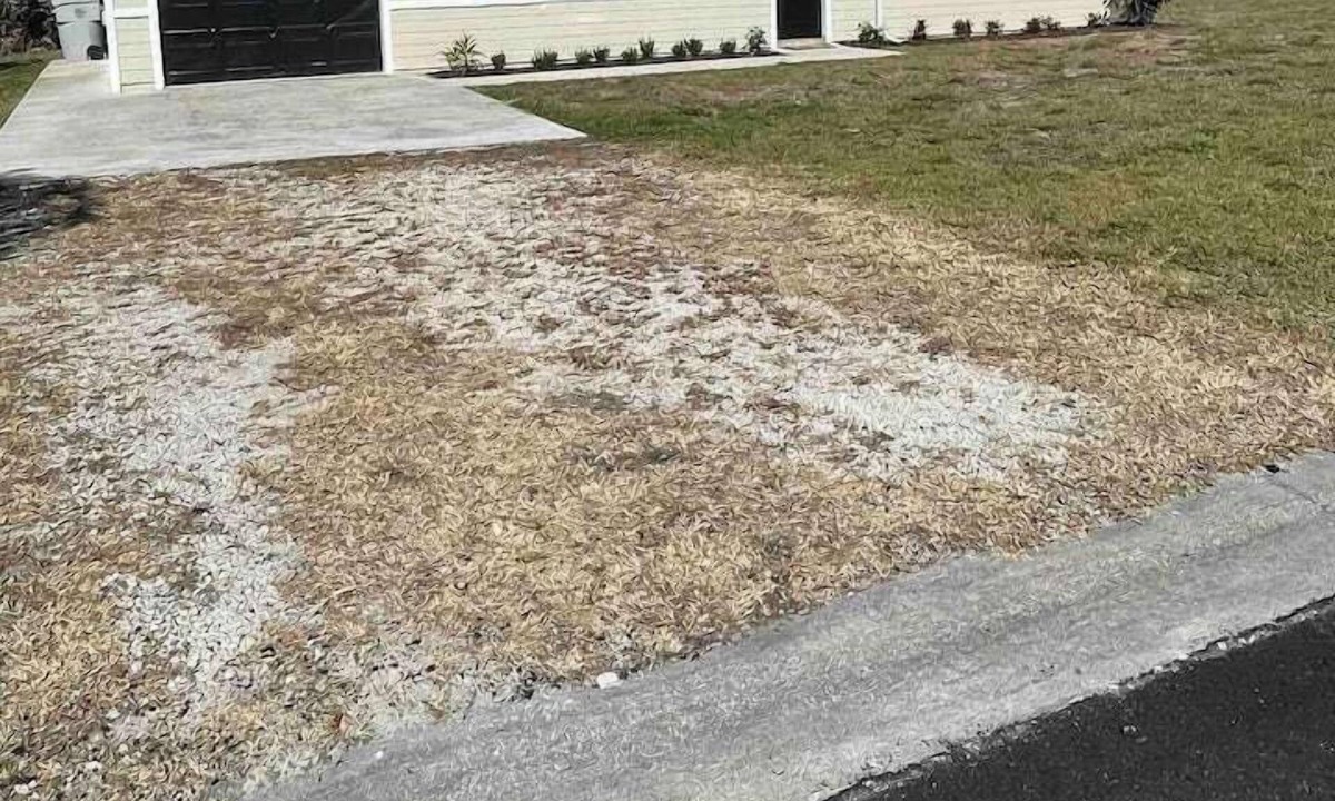 Florida Ridge Apartment | 2 Bedroom 815543 by Houzlet