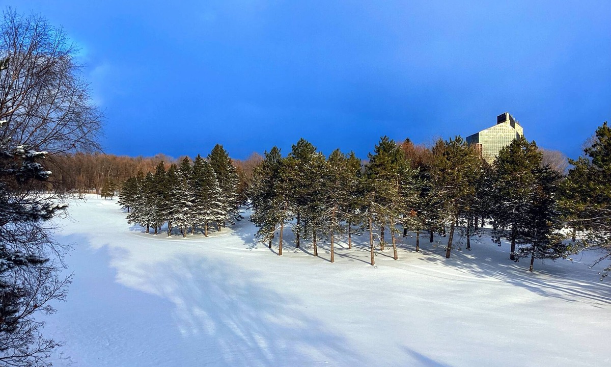 Acme Condo | 2BR/2BA Golf View Condo on GT Spruce Run