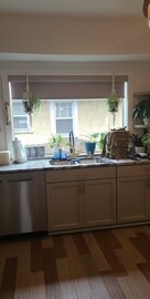 Near Eastside House | 3-bedroom pet friendly bungalow near downtown indy