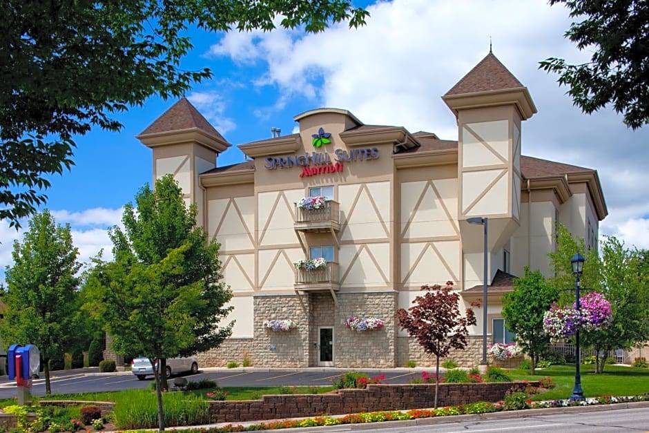 Frankenmuth Hotel | 3-Star Hotel ∙ Springhill Suites by Marriott Frankenmuth