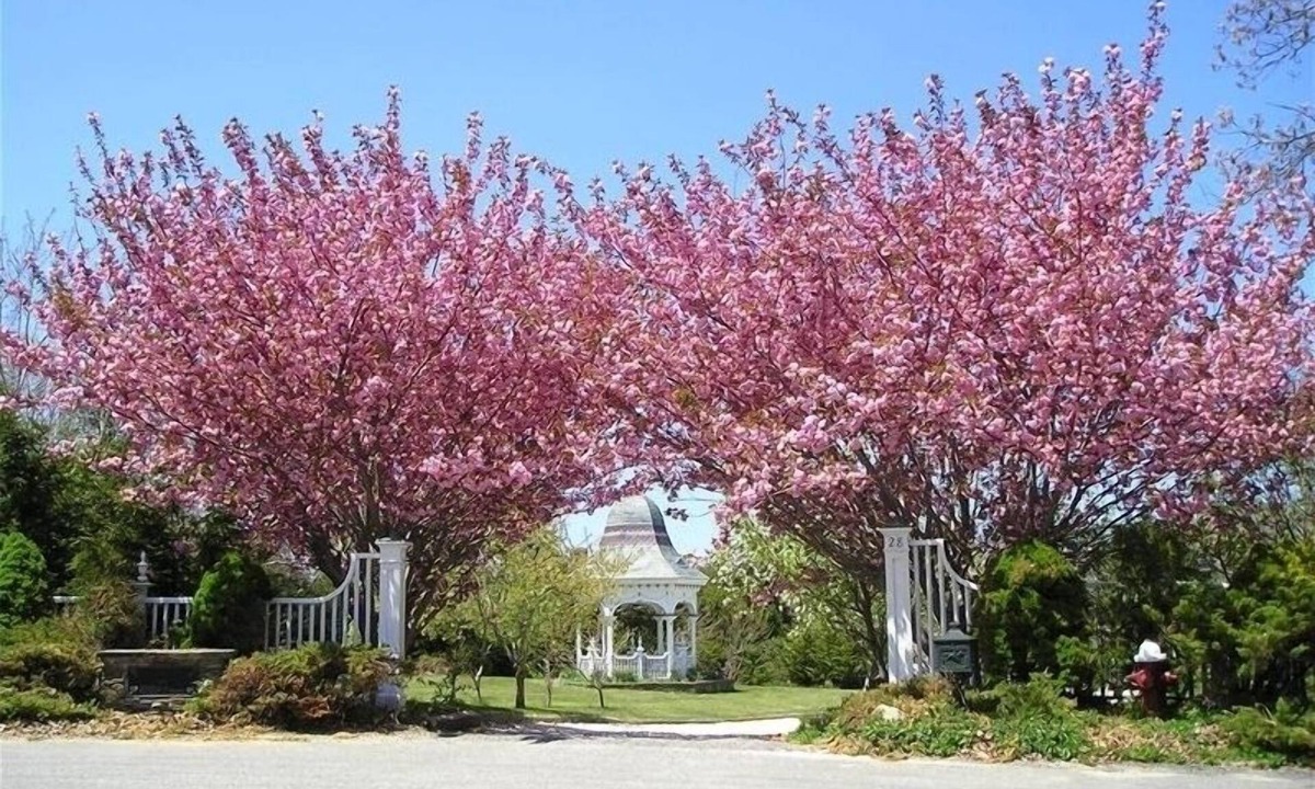 Orleans House | 5 bedrooms ocean view estate overlooking cape cod bay