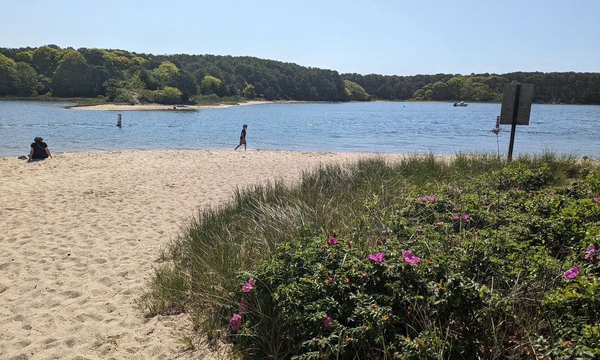 East Falmouth House | 5 minute walk to small community Beach, 3 miles to Menauhant Beach