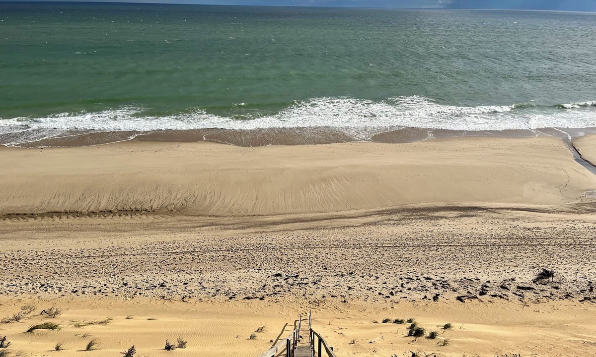 South Wellfleet Cottage | Adorable 2-bedroom cottage in South Wellfleet perfect for getaway and BEACH!