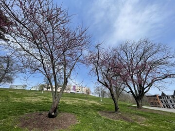 Mount Adams House | Beautiful Brownstone Across from Eden Park!