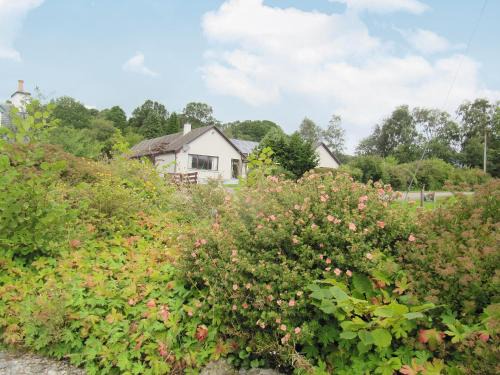 Torcastle House | Beech House