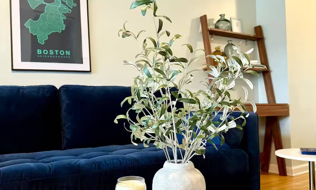South Boston House | Boston Single House 2BR - Backyard + Walk to BCEC & Seaport