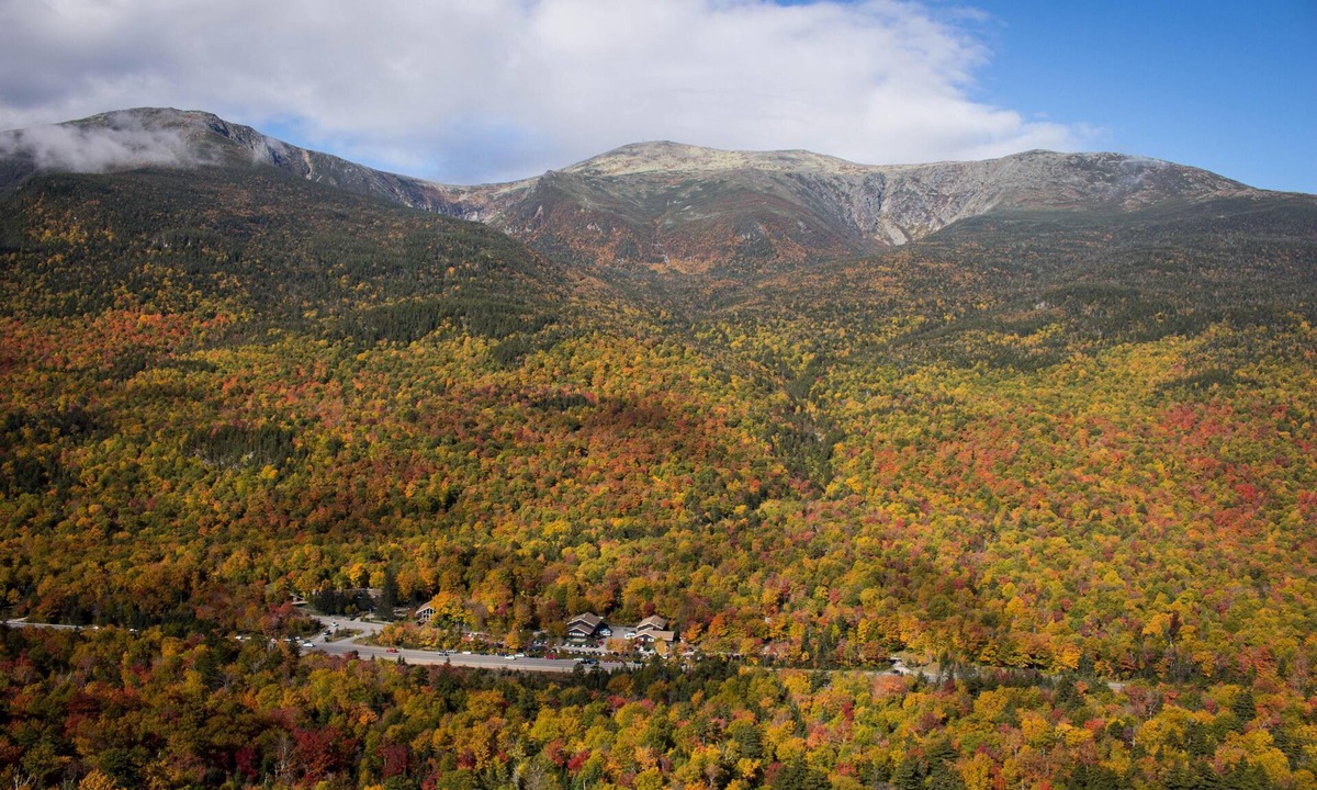 Pinkham's Grant Condo | Boutique Hotel Room, King, 2 Bunks, Shared Bathrooms