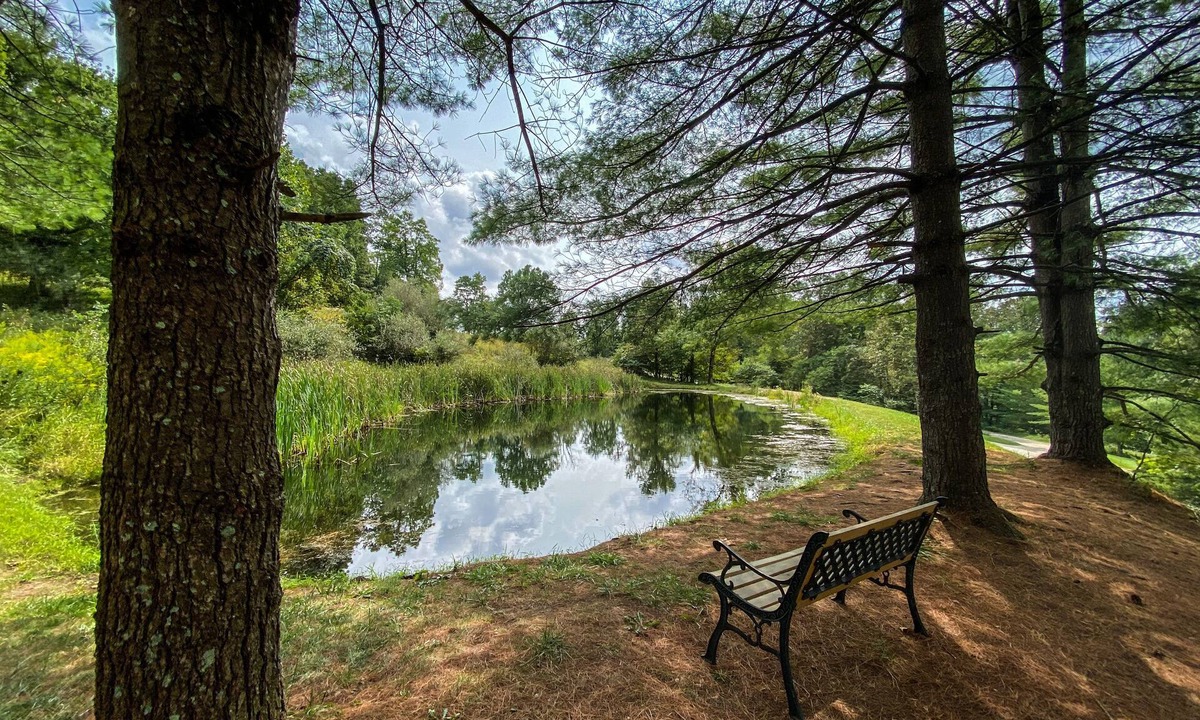 Logan Cabin | Cabin with Fishing Pond in the Hocking Hills