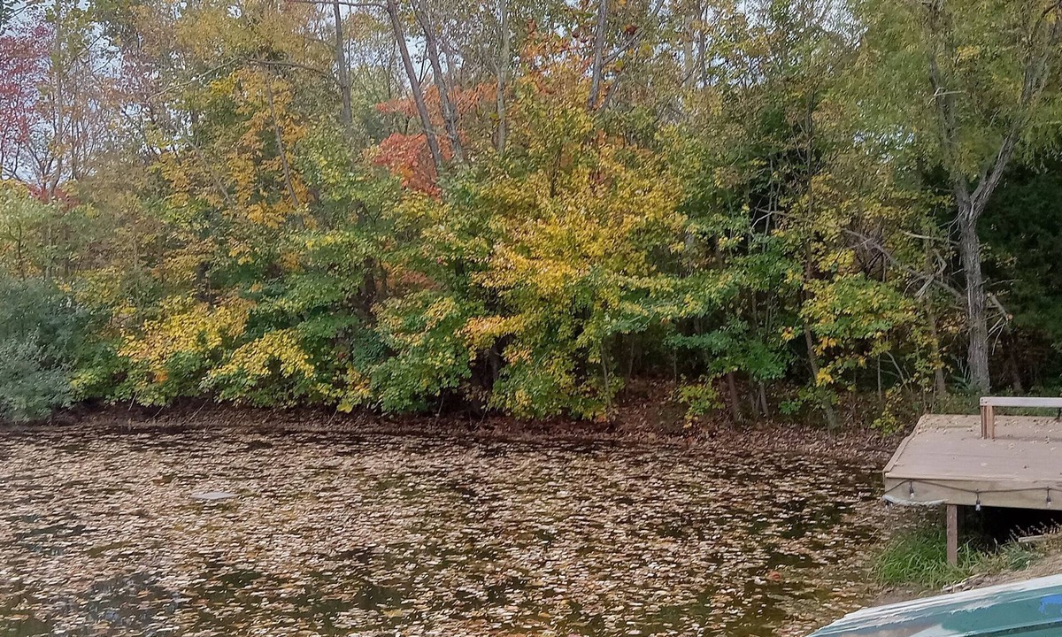Akin RV Rental | Campground, in the heart of the 2024 Solar Eclipse path, country setting w/pond