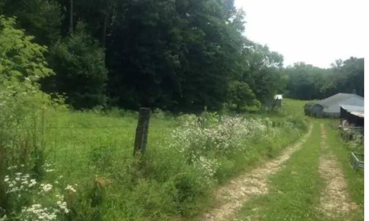 Freedom RV Rental | Celtic Glen Farm Stay - Shady pasture overlookn
