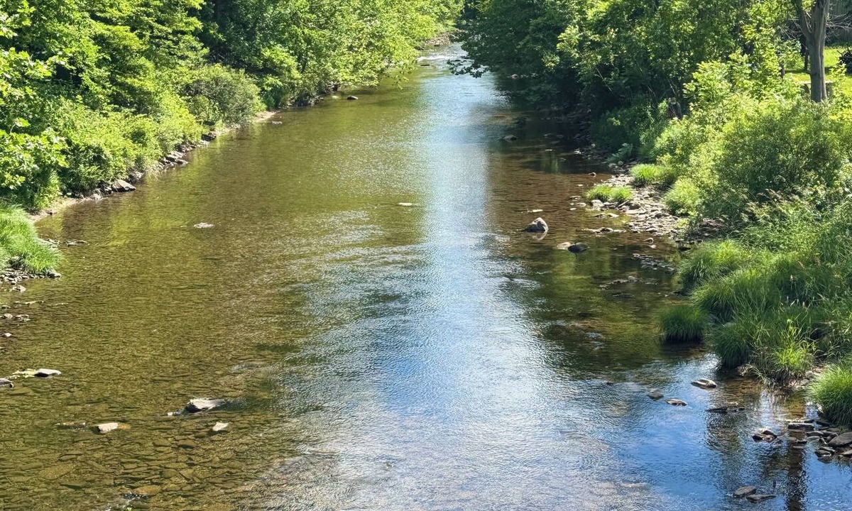 Wellsboro Cabin | Charming 4-bedroom cabin in Morris perfect for relaxing getaways by the creek