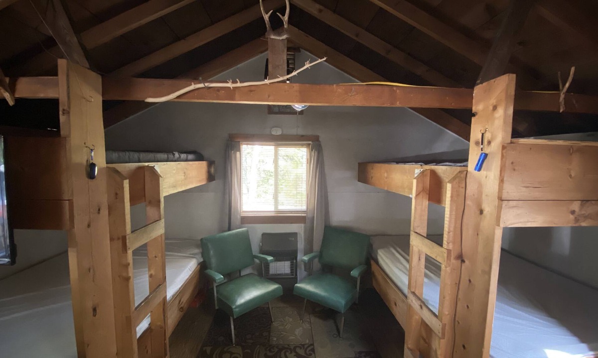 Addison Cabin | Comfy Woodland Camp Privacy withinin minutes of local amenities and attractions!