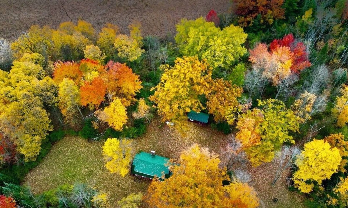 Hale Cabin | Cozy Beautiful log cabin situated on acreage with access to East Stylus Lake