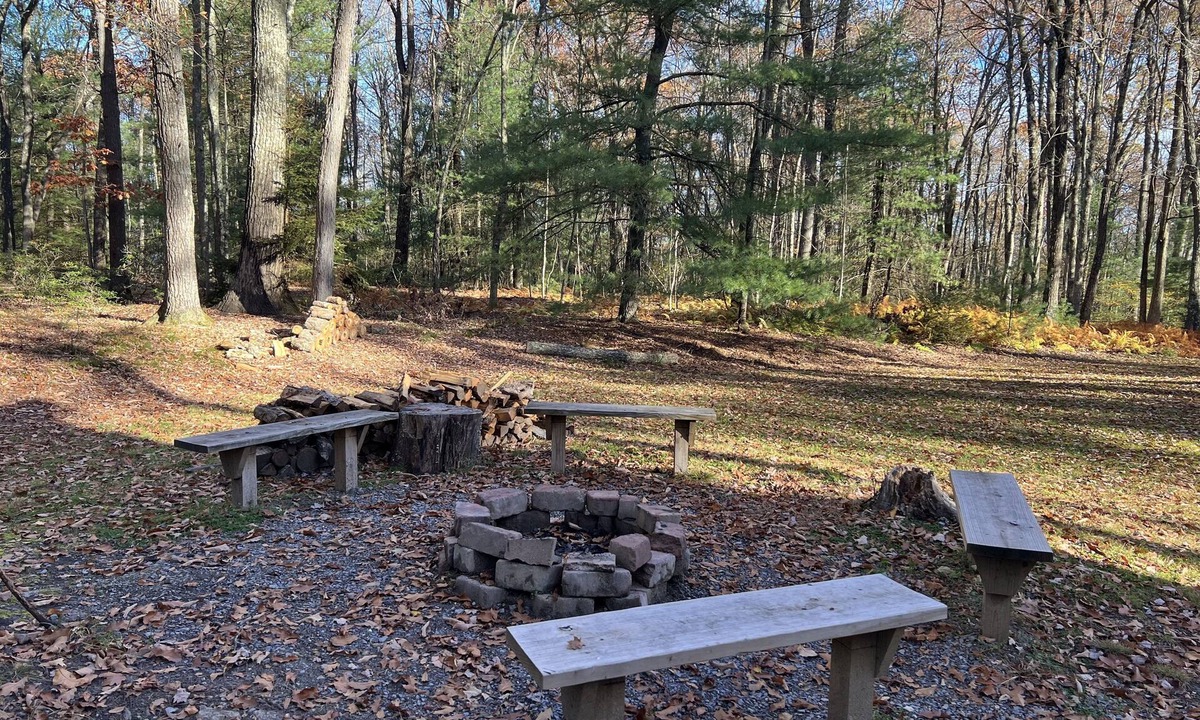 Lock Haven Cabin | Cozy Cabin in the heart of the Big Woods