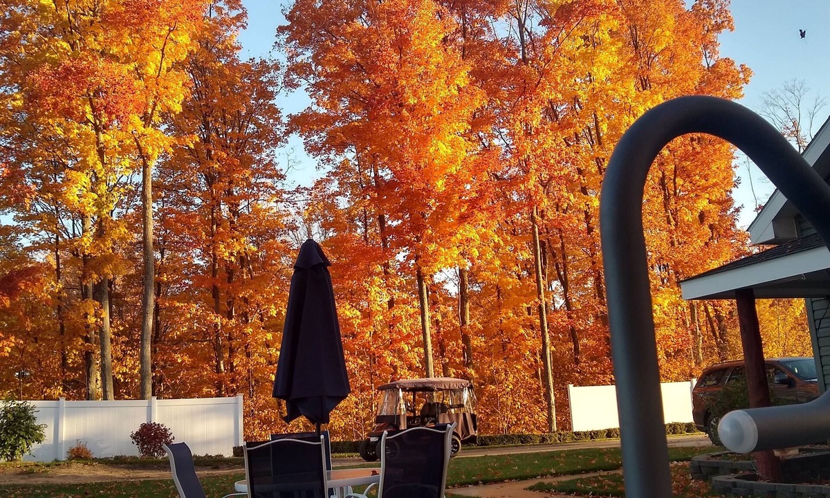 Boyne Falls Cabin | Cozy cabin-WIFI & outdoor hot tub, Close to Boyne Mt & great for snowmobiling