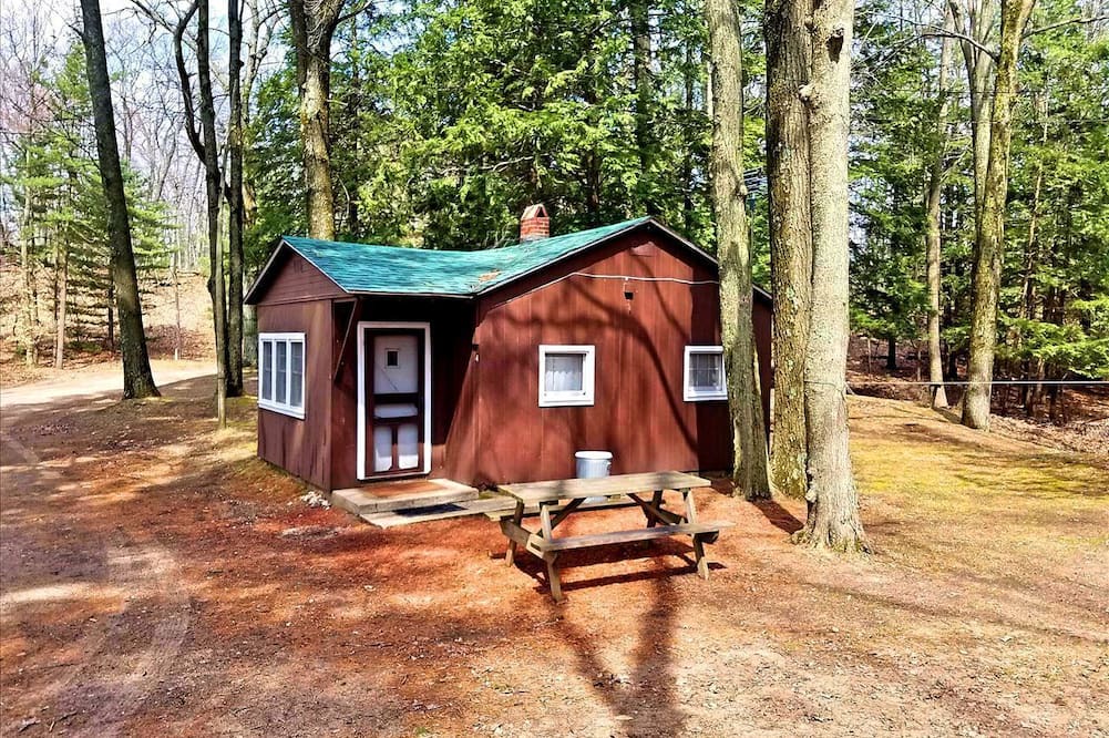 Wellston Cabin | Cozy Lakeside Cabin in Manistee National Forest, Michigan
