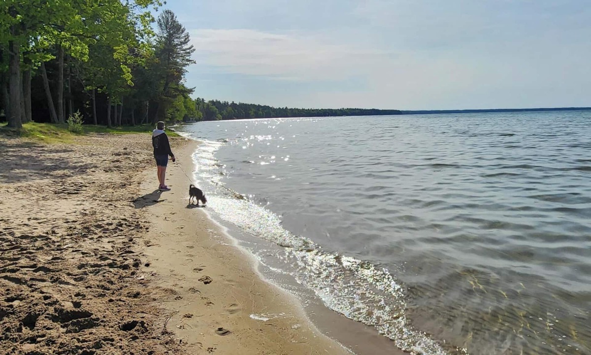 Moorestown Cabin | Cozy PRIVATE cabin near ORV & snowmobile trails! Only 5 minutes to Higgins Lake!