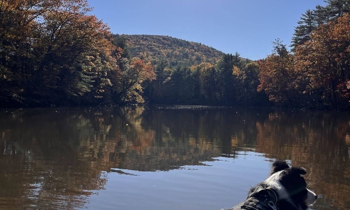 Hiram House | DIRECTLY ON THE SACO RIVER. 5500' of Frontage