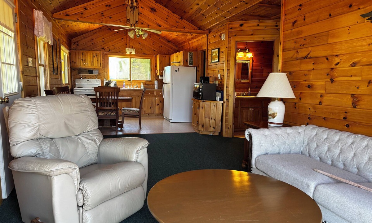 Drummond Cabin | Drummond Island Hotel & Vacation Homes - Kaye's Little Cabin