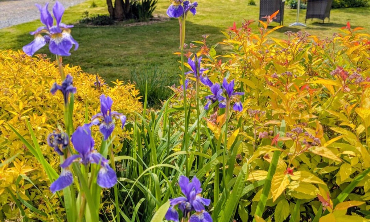 Roskhill Bed & Breakfast | Dunshee