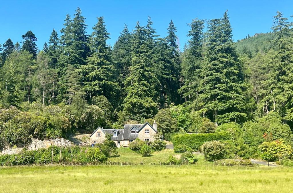 Dunoon House | Eckford House