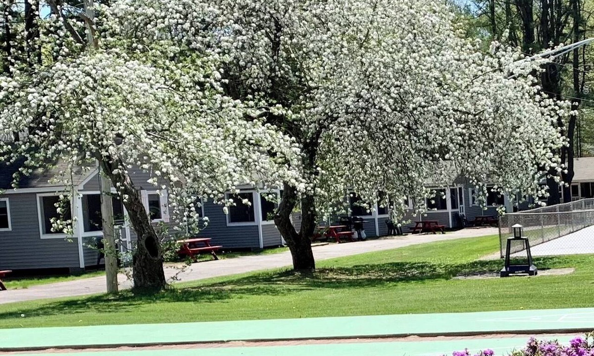 Old Orchard Beach Hotel | Elmwood Motor Court