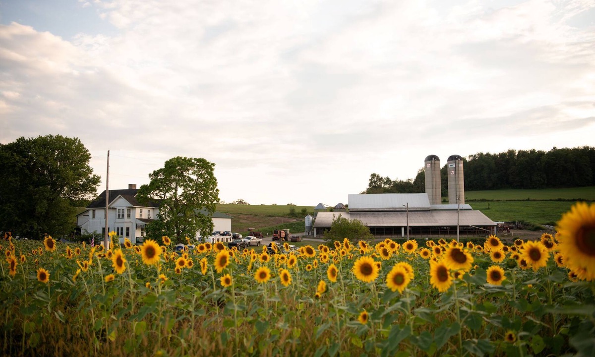 Dickerson Run House | Entire Farmhouse -Maple Bottom Farm Bed & Breakfast