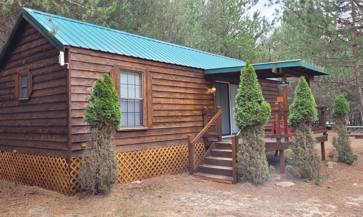 Thompsonville Cabin | Evergreen Cottage near Crystal Mtn