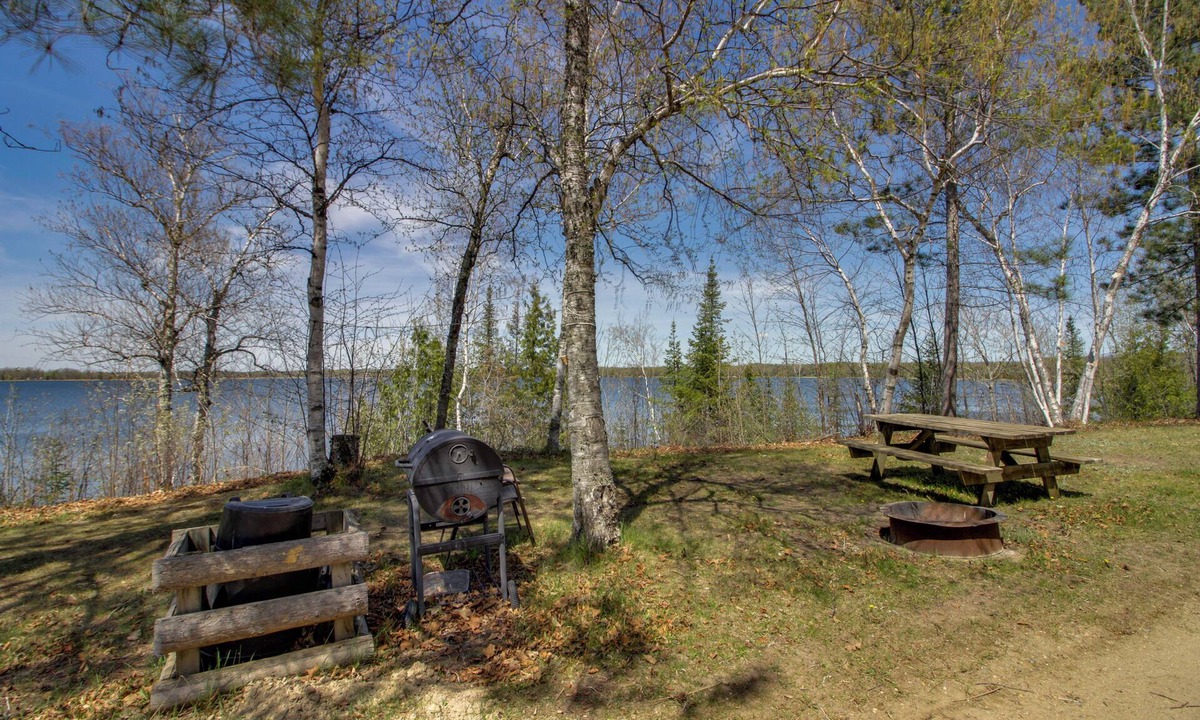 Puposky Cabin | Family Escape on Gull Lake! Dock/Launch Access