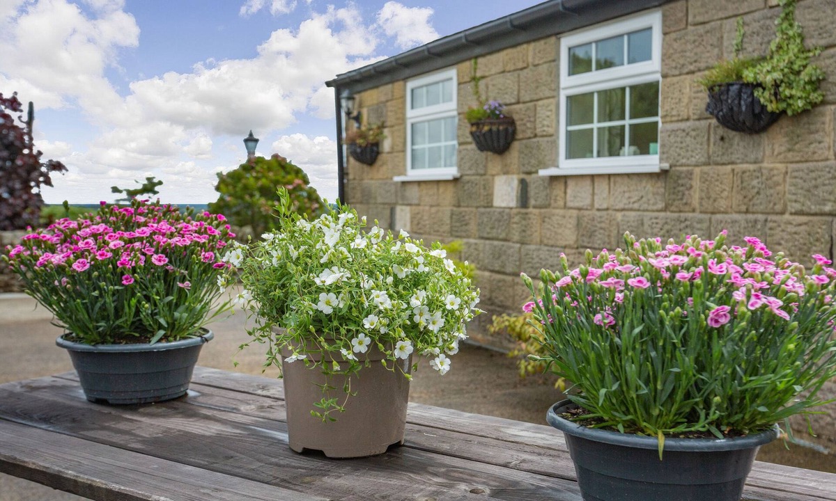 Ripley Cottage | Fir Tree Stables
