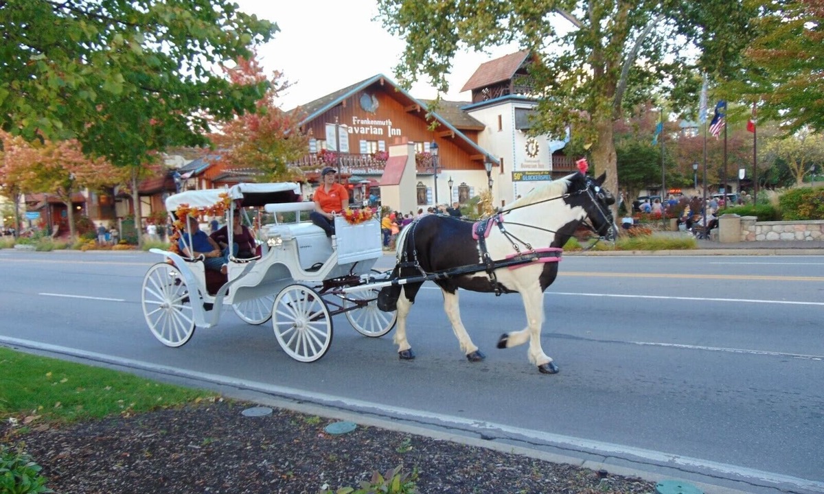 Birch Run Township House | Frankenmuth Getaway - April special - Book a min of 2 nights get a free night