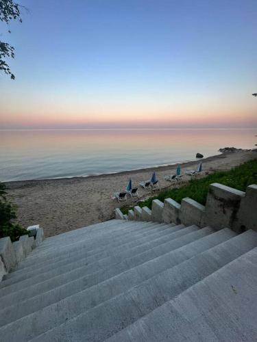 Lexington Apartment | Great Lakes Resort - Jr Suite - Suite 8