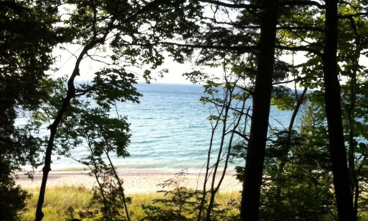 Charlevoix Cottage | Great location!Walkable & lovely sunsets! Aug.8-15 just became available.