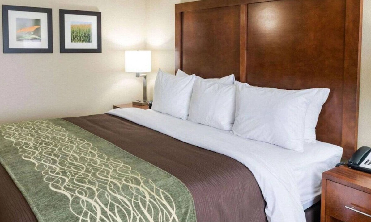 Rochester House | Lavish King Experience! Indoor Pool W/ Hot Tub