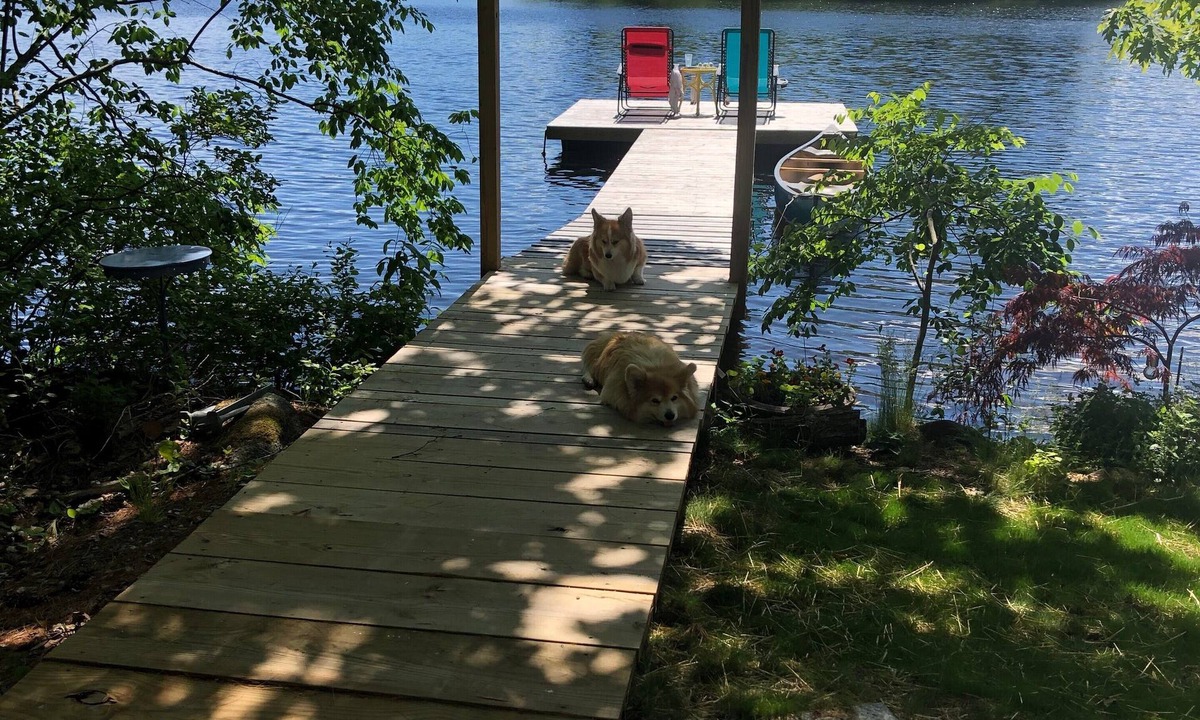 Hope Cottage | Lazy Days - Sunny Dock - Great Swimming & Fishing - close to Camden