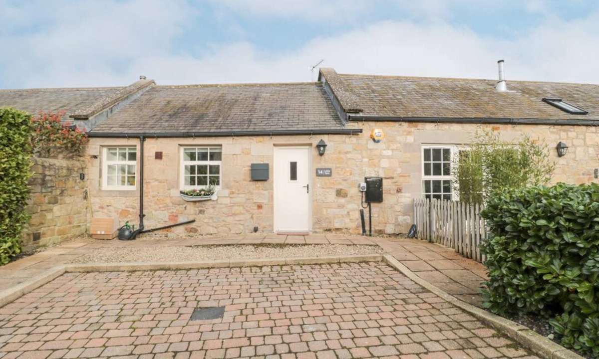 North Sunderland Cottage | Little Tern in Northumberland.