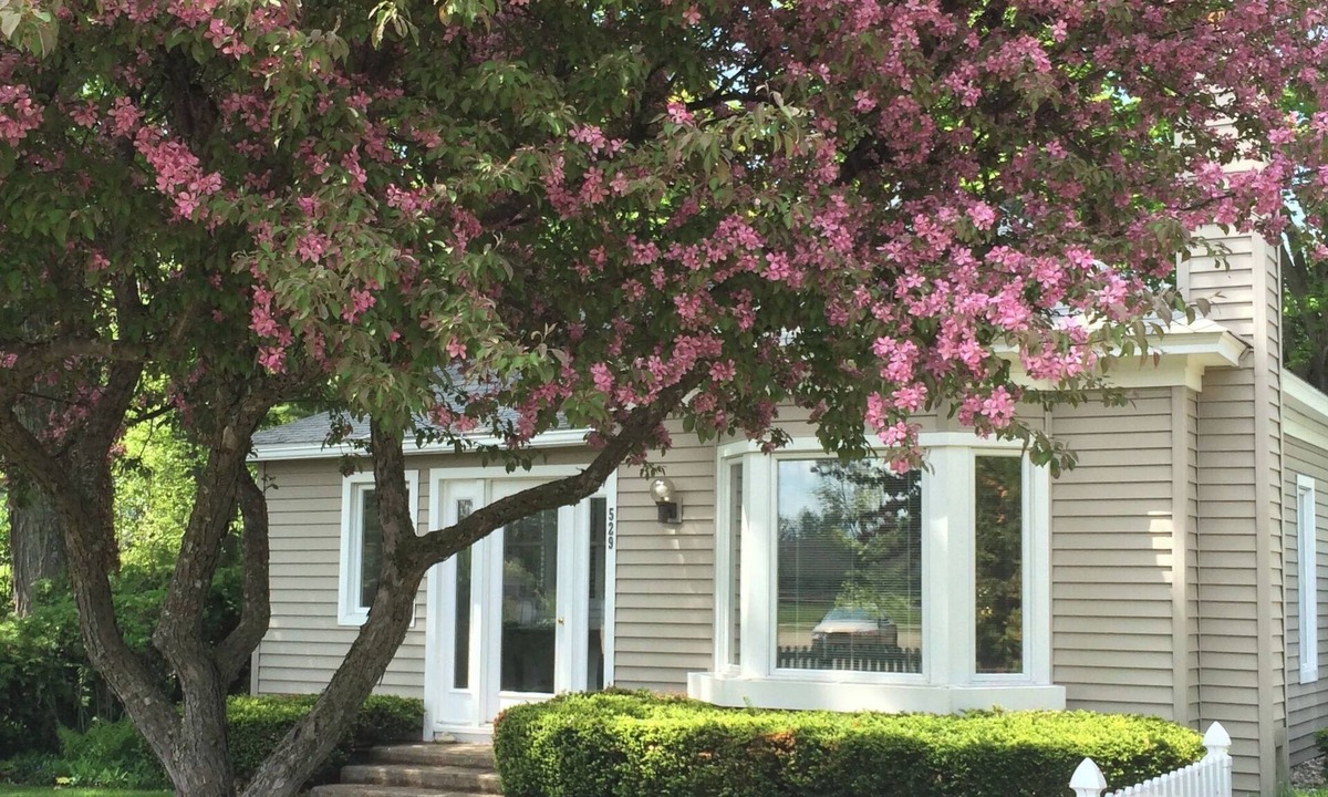 Harbor Springs Cottage | Lovely 2-bedroom cottage in charming Harbor Springs, 5 minute walk to downtown