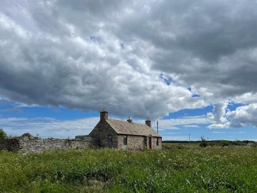 Mey House | Mey Bee