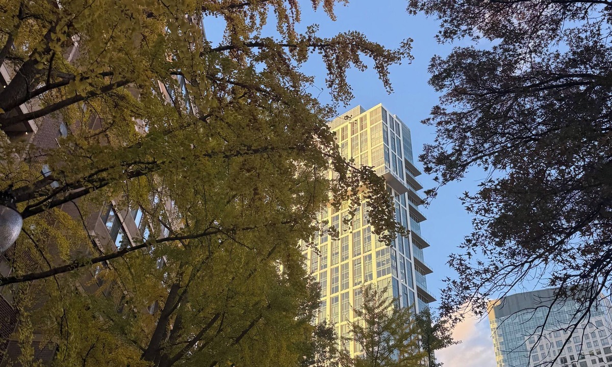 West End Apartment | Modern 1BR steps to Mass General Hospital, TD Garden, Esplanade with Pool/Gym