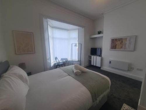Sunderland Apartment | Modern Studios