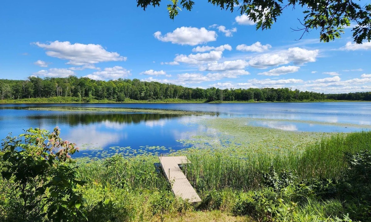 Walker House | New, cozy and quiet 2-bedroom lake house near Walker/Leech Lake