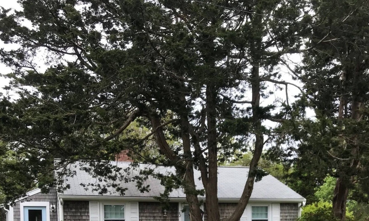 Brewster Cottage | Ocean Dreams Cottage on Paines' Creek