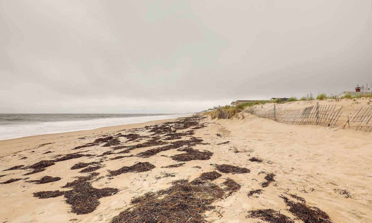 Salisbury Cottage | Pet-Friendly Vacation Rental in the Salisbury Area