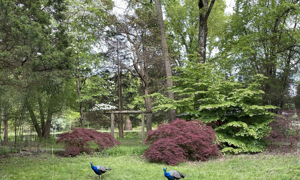 Morrow House | Private lake house garden resort