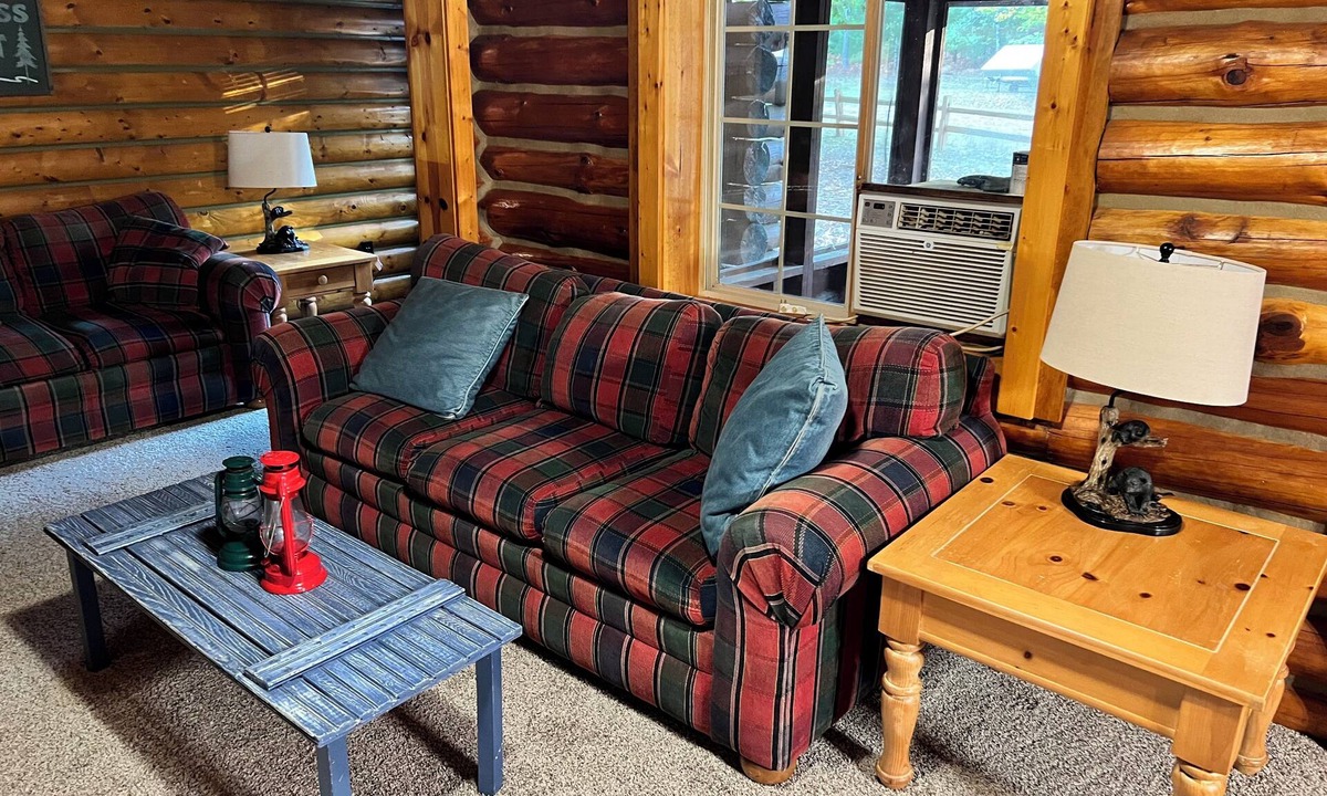 Lake City Cabin | Quiet Log Cabin in Beautiful Northern Michigan