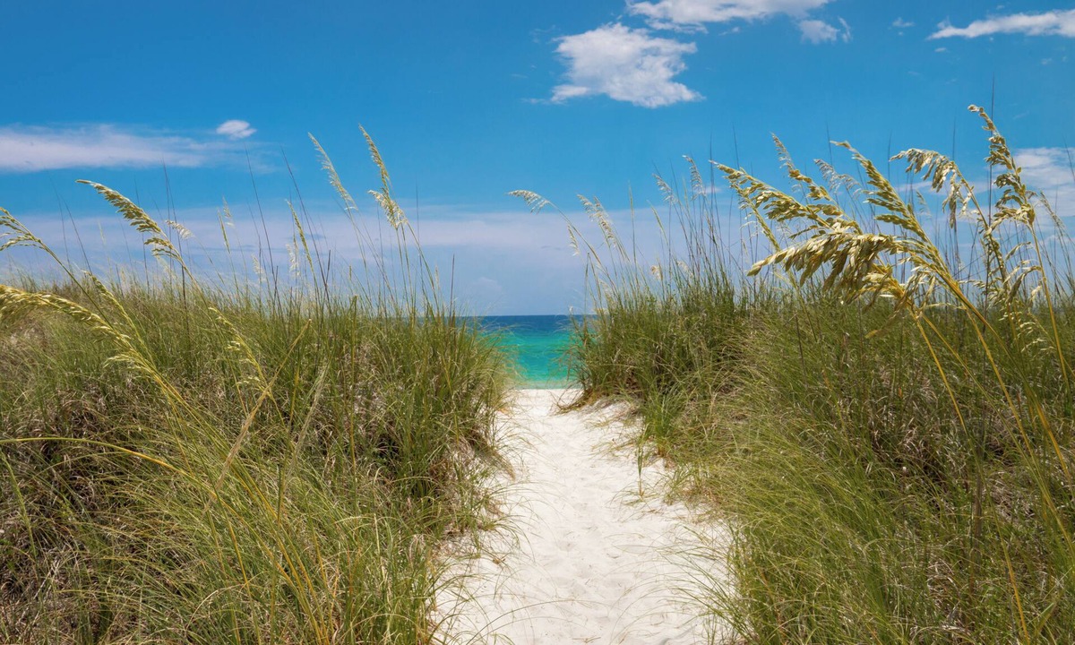 Seagrove Beach Condo | Remarkably Updated 3/2 in Seagrove Highlands - Gulf Views Sleeps 9!