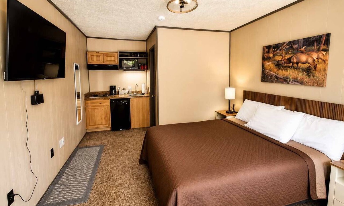 Grayling House | Room 20-1 Queen Standard-Woodland Motor Lodge