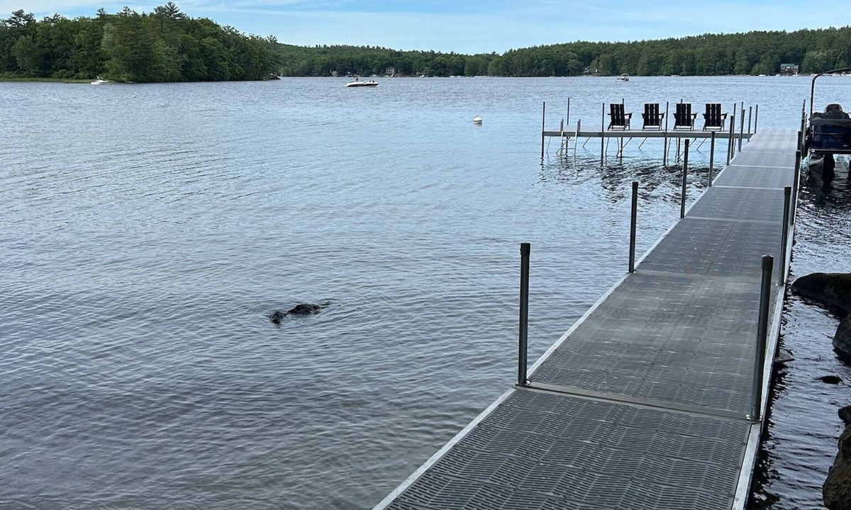 Standish House | Sebago Sanctuary Lakeside Haven - LAKEFRONT LIVING in style!
