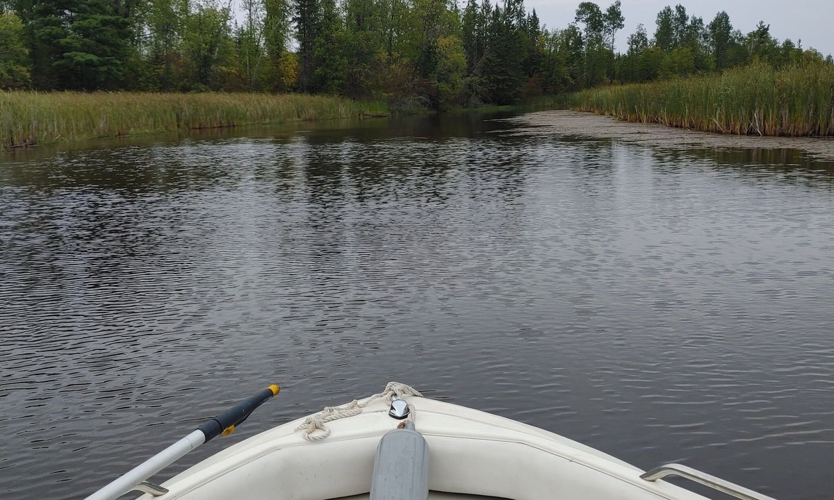 Ray Cabin | The River Retreat! Private Wooded Getaway