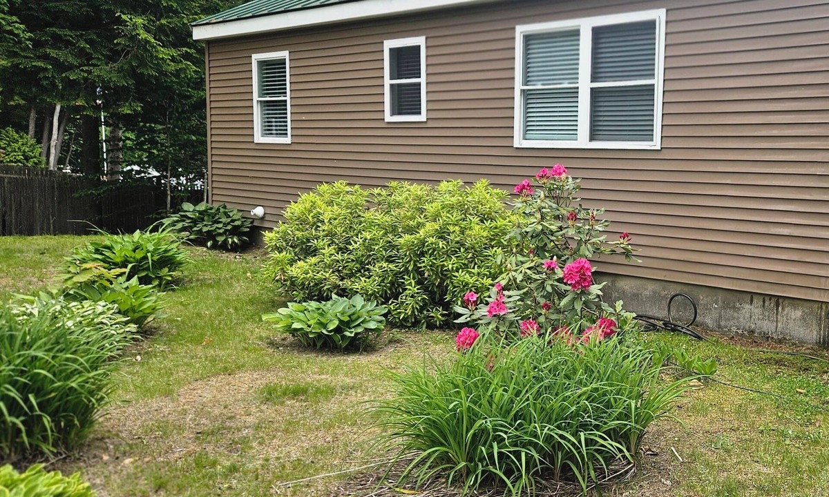 Windham Cottage | Tranquil 3-bedroom cottage in Windham on Forest Lake